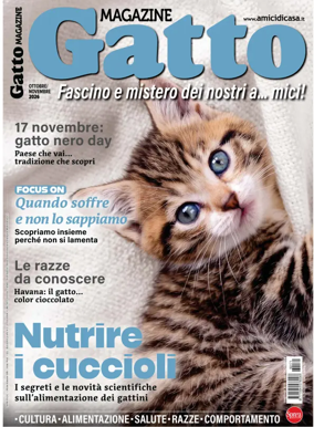 Cover of Gatto Magazine