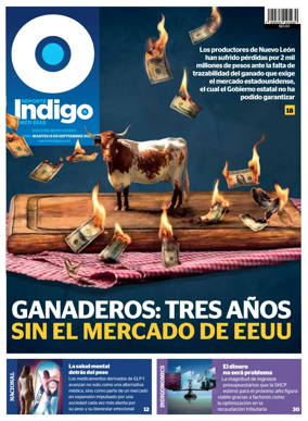 Cover of Reporte Indigo Monterrey