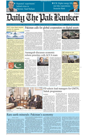 Cover of The Pak Banker