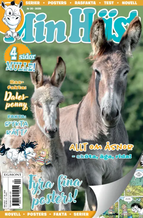 Cover of Min Hast