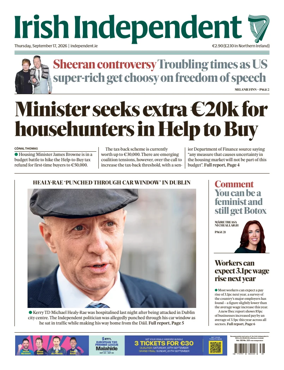 Cover of Irish Independent