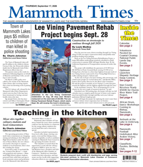 Cover of Mammoth Times