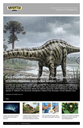 Cover of The Brighter Side of News
