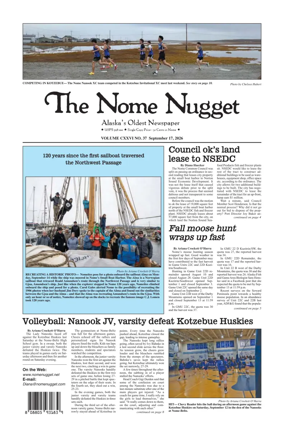 Cover of The Nome Nugget