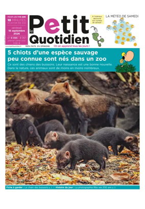 Cover of Le Petit Quotidien