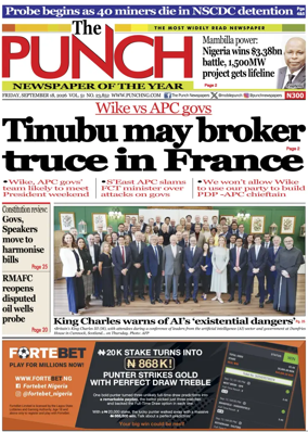 Cover of The Punch