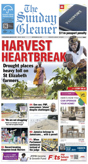 Cover of The Gleaner