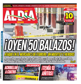 Cover of Periodico Al Dia (Celaya)
