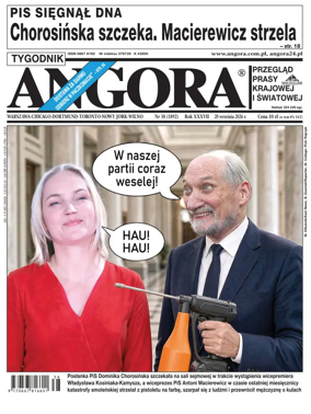 Cover of Angora