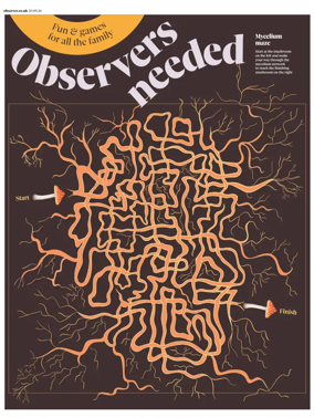 Cover of Observers Needed