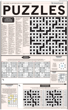 Cover of Puzzles