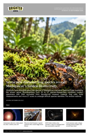 Cover of The Brighter Side of News