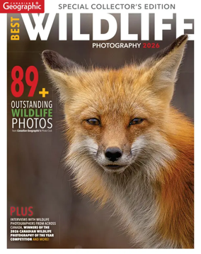 Cover of Canadian Geographic Best Wildlife Photography