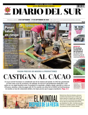 Cover of Diario del Sur