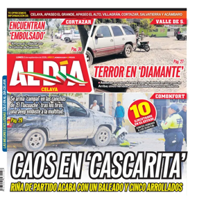 Cover of Periodico Al Dia (Celaya)