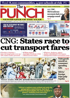 Cover of The Punch