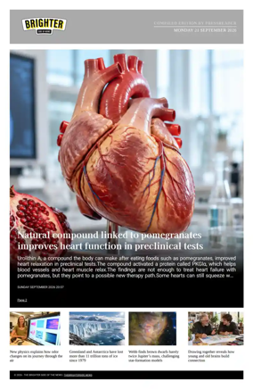 Cover of The Brighter Side of News