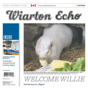Cover of Wiarton Echo