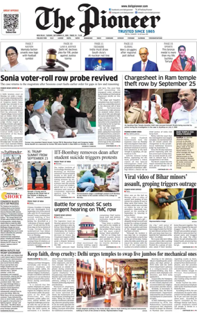 Cover of The Pioneer