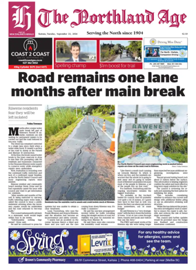 Cover of The Northland Age