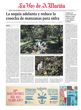 Cover of Viveiro local
