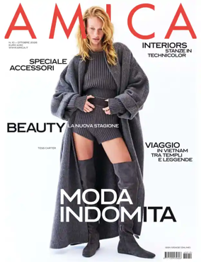 Cover of Amica