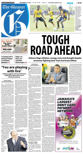 Cover of The Gleaner