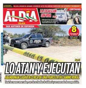 Cover of Periodico Al Dia (Celaya)