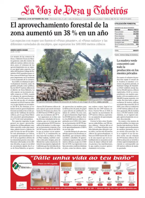 Cover of Deza local