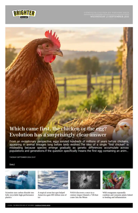 Cover of The Brighter Side of News