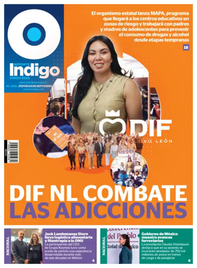 Cover of Reporte Indigo Monterrey