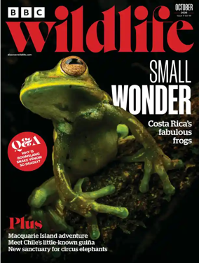 Cover of BBC Wildlife Magazine