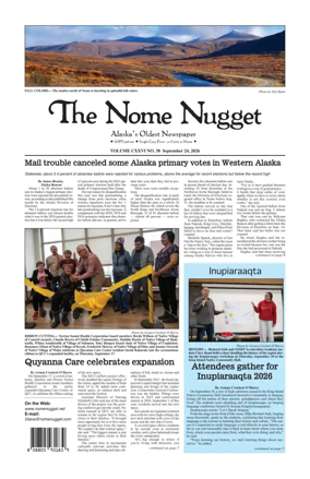 Cover of The Nome Nugget