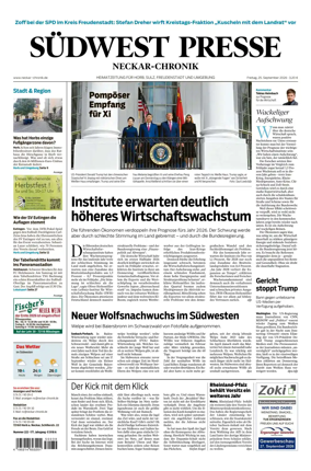 Cover of SUDWEST PRESSE - Neckar-Chronik
