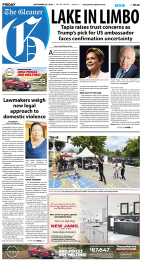 Cover of The Gleaner