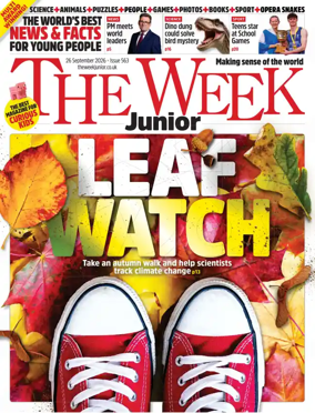 Cover of The Week - Junior