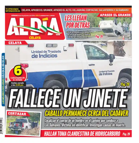 Cover of Periodico Al Dia (Celaya)
