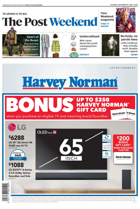 Cover of The Post
