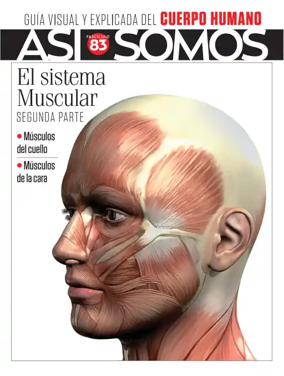 Cover of Asi Somos