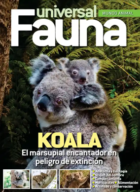 Cover of Fauna universal
