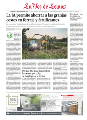 Cover of Monforte local