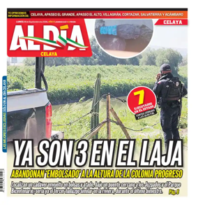 Cover of Periodico Al Dia (Celaya)