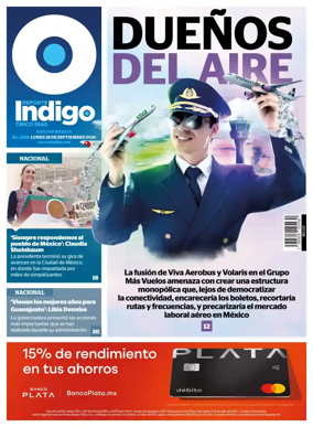 Cover of Reporte Indigo Nacional