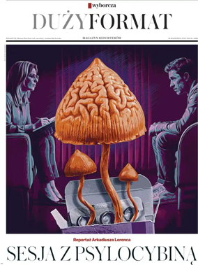 Cover of Duzy Format
