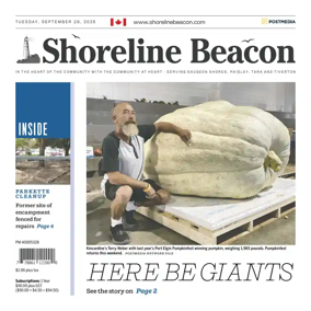 Cover of Shoreline Beacon