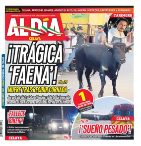 Cover of Periodico Al Dia (Celaya)