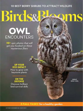 Cover of Birds and Blooms
