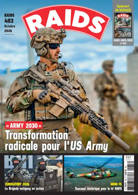 Cover of RAIDS