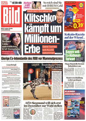 Cover of Bild