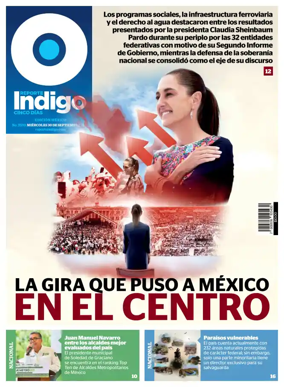 Cover of Reporte Indigo Nacional